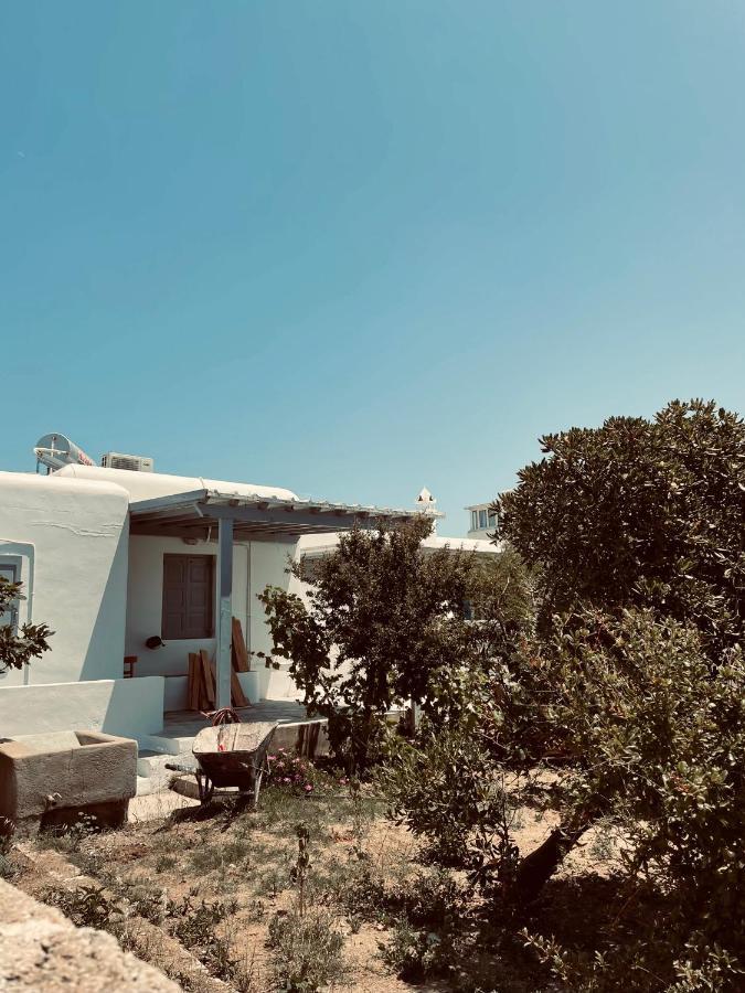 Alesta Leilighet Mykonos Town Eksteriør bilde